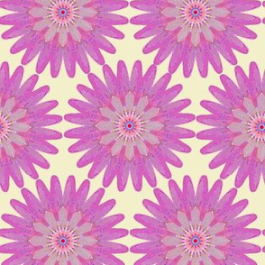 Pink kaleidoflower