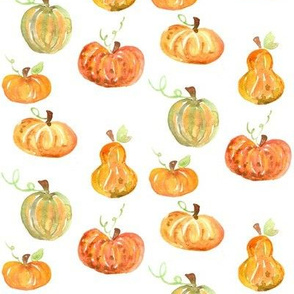 pumpkins and squash