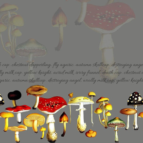 poison mushrooms (grey)