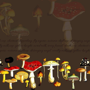 poison mushrooms (brown)
