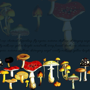 poison mushrooms (teal)