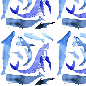 WHALE_PRINT