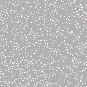 WhiteConfettiOnLtGrayPattern01-Repeat12x9-01