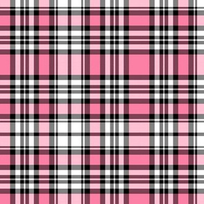 Fairy Floss Plaid