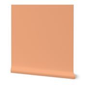 Solid Medium Orange