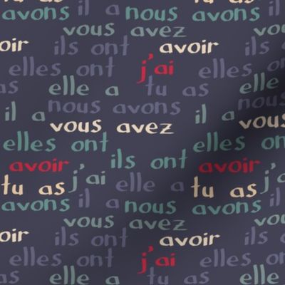 Avoir - the French verb "to have" (blue grey)