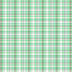   Plaid Light