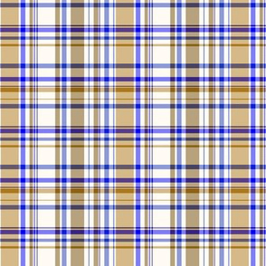   Plaid Light