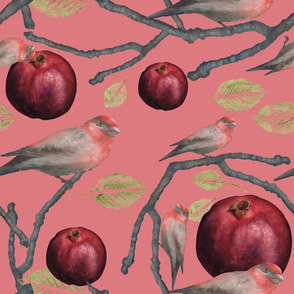 Pomegranates and Finches/ Coral Essence 