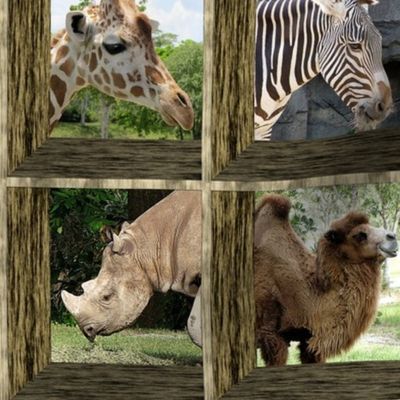 Attic Windows at the Zoo 1