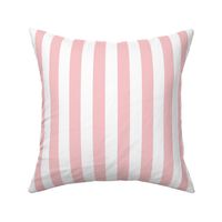 Vertical Stripe ~ Dauphine and White