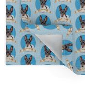 Toy Fox Terrier I