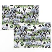 fox terrier collage