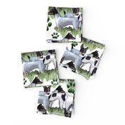 fox terrier collage