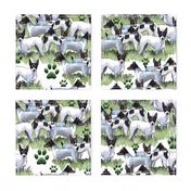 fox terrier collage