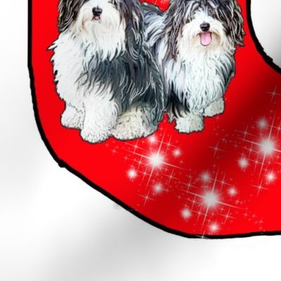 Havanese Christmas stocking pattern