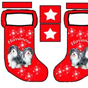 Havanese Christmas stocking pattern