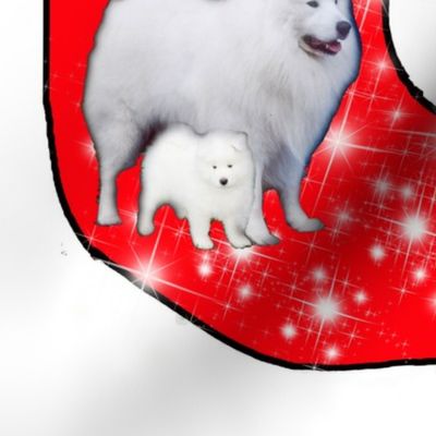 Samoyed Christmas stocking