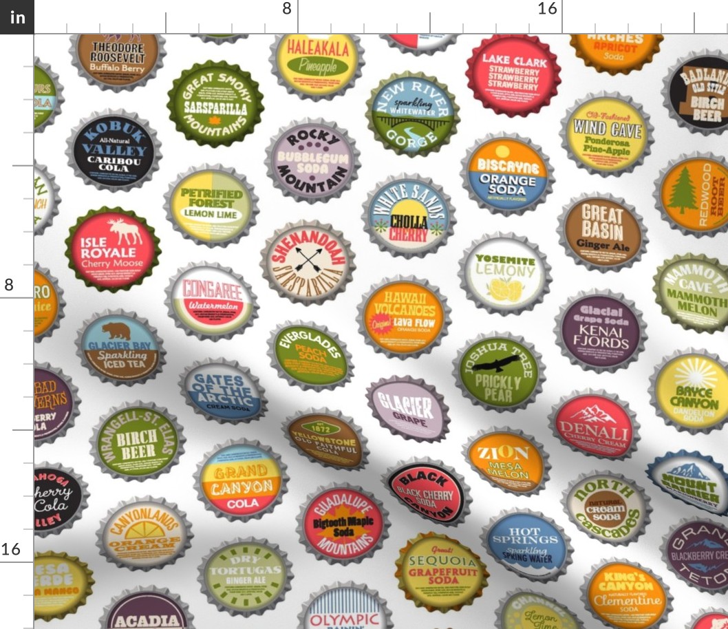 Soda Nation (2-liter) || 63 Bottlecaps of the U.S. National Parks