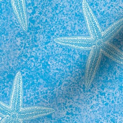 Starfish Aqua Blue