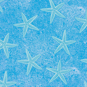 Starfish Aqua Blue