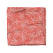 Starfish Coral Pink