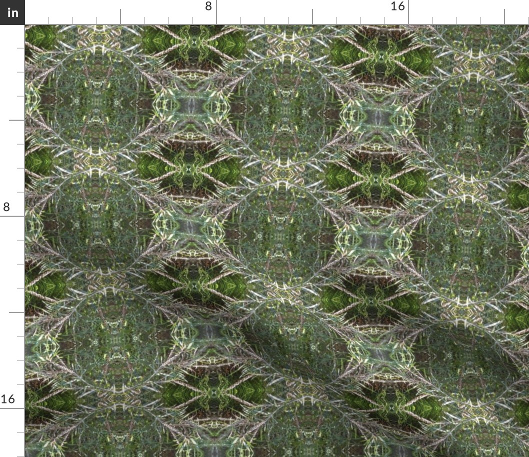 Callistemon Wreath Lattice (Ref. 4149)