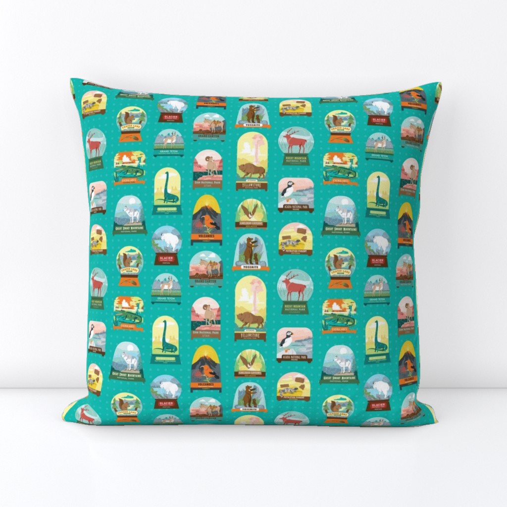 National Parks Snow Domes in Teal