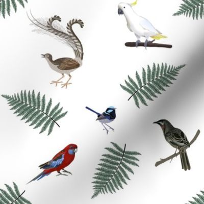 Birds of the Dandenong Ranges