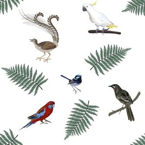 Birds of the Dandenong Ranges