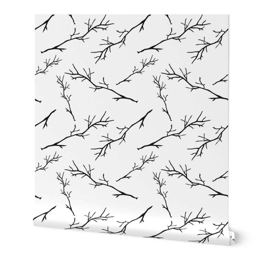 Branches on white