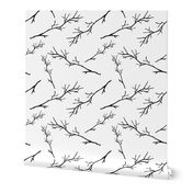 Branches on white