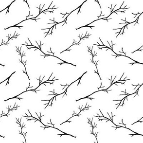 Branches on white
