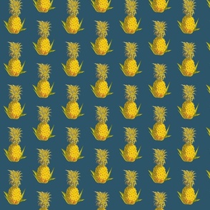 pineapples4