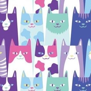 colorful cats