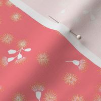 Gum Blossoms - Galah Pink