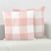 Large Blush Pink Buffalo Check Gingham