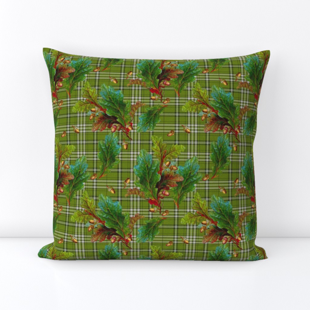 Kinlock Forest Tartan in bracken green