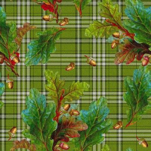 Kinlock Forest Tartan in bracken green