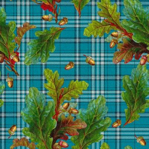 Kinlock Forest Tartan in tudor blue