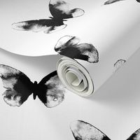 butterfly – black white