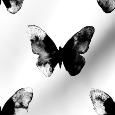 butterfly – black white