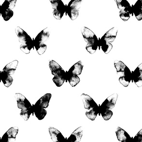 butterfly – black white