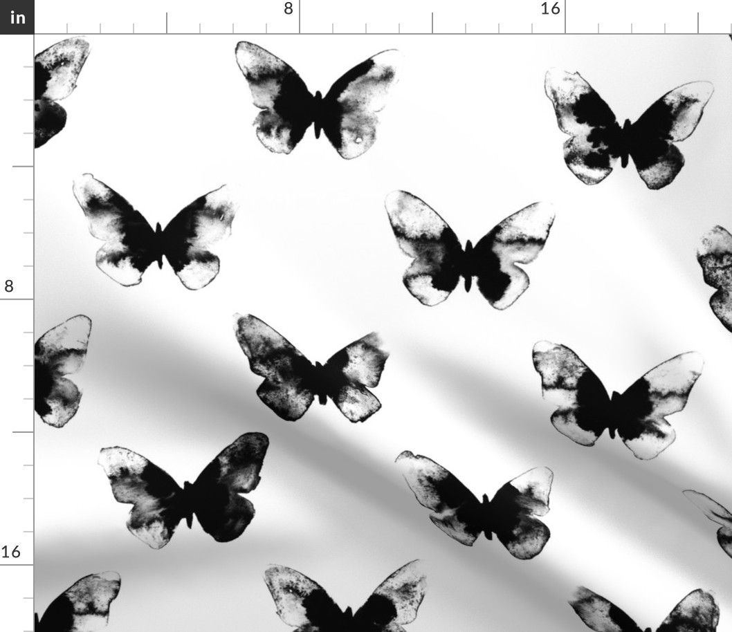 butterfly – black white