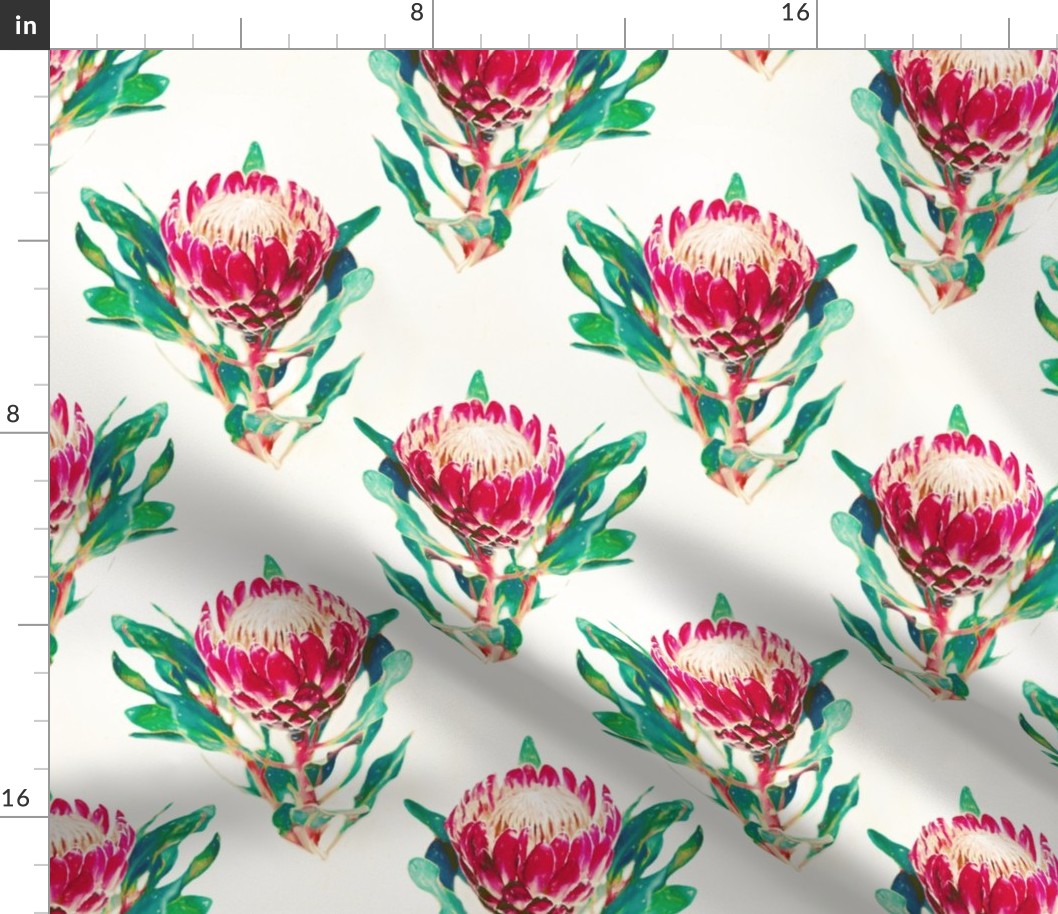 Simple Vintage Protea Pattern on Cream