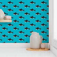 Cute blue baby shark australian theme fish illustration in retro colors for kids