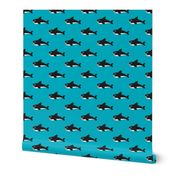 Cute blue baby shark australian theme fish illustration in retro colors for kids