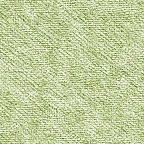 pencil texture in forest and moss on white