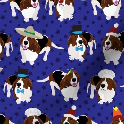 Bassets in Hats