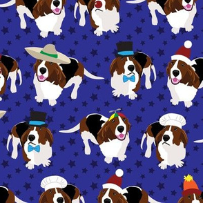 Bassets in Hats